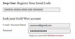 guild wars 2 client asking for serial code